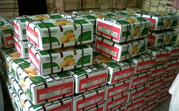 راهنمای صادرات میوه ایران به کشورهای عربی خلیج فارس، ترکیه و عراق